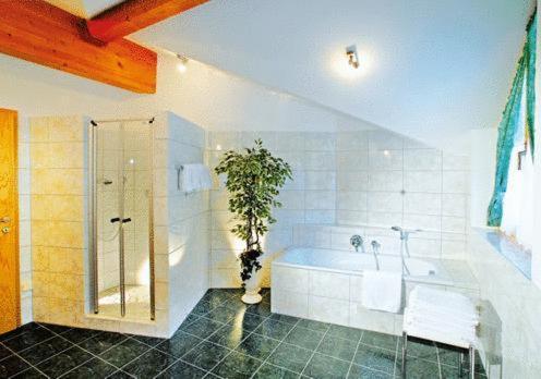 Tonis Appartements Am Achensee Άχενκιρχ Εξωτερικό φωτογραφία